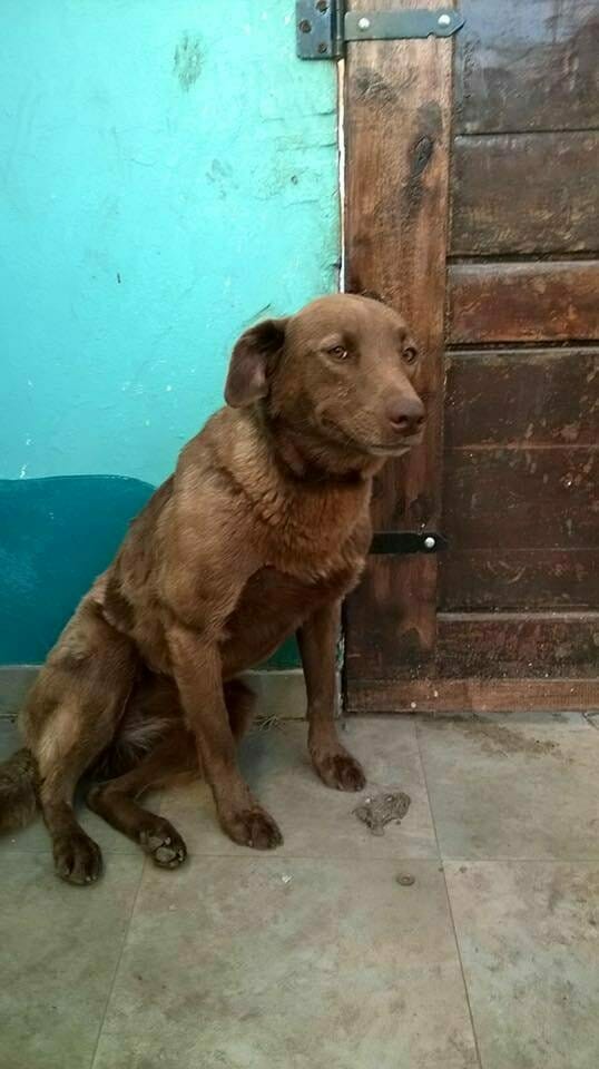 Pakita