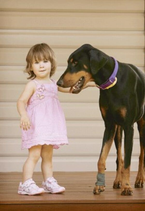Charlotte i doberman Khan