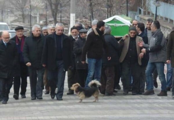 tłum ludzi z trumną i pies
