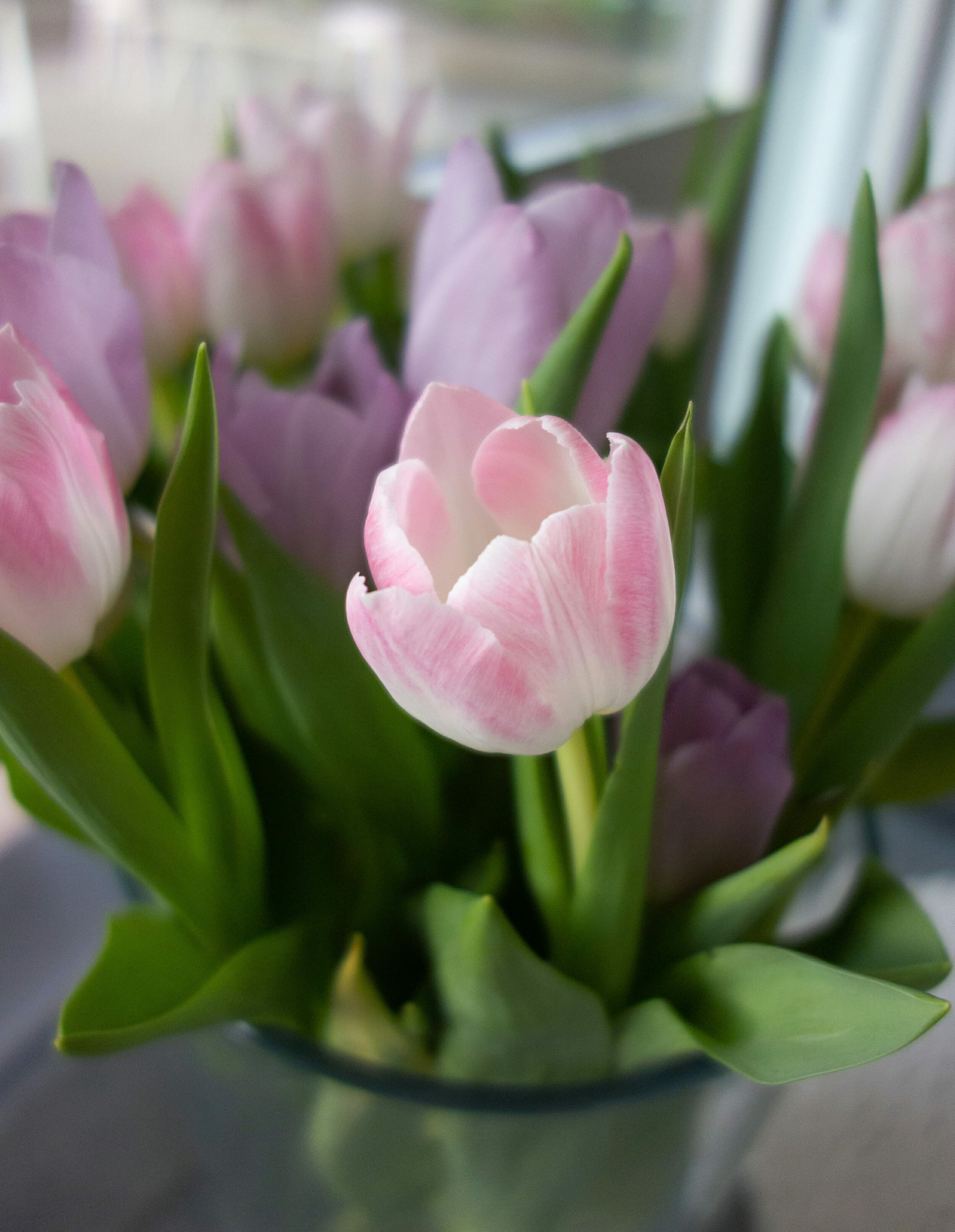 różowe tulipany w wazonie