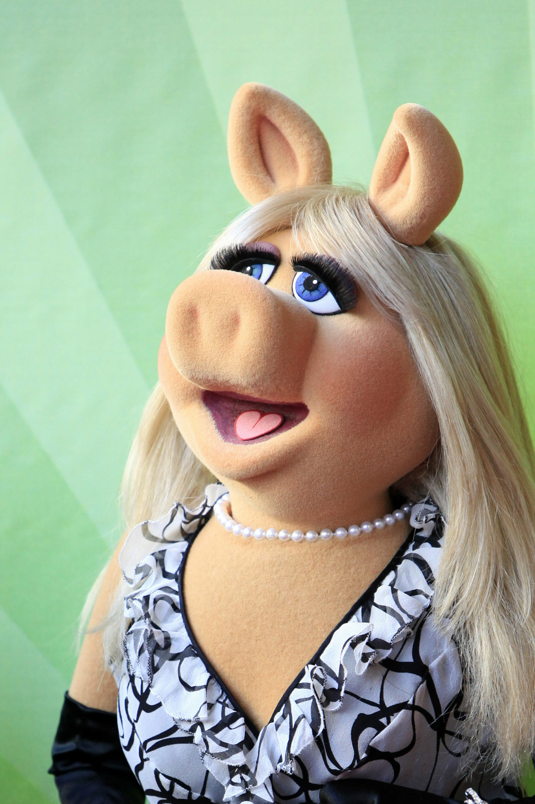 świnka Piggy