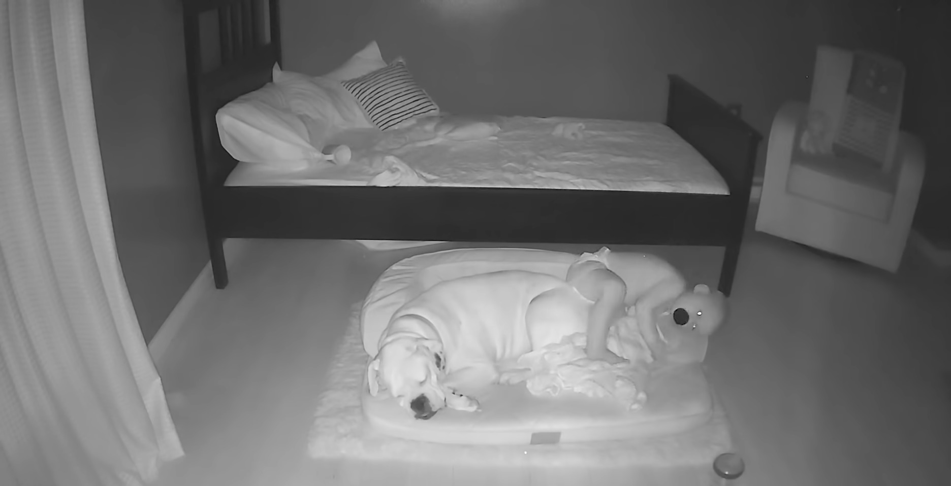 dziecko z psem śpi na materacu