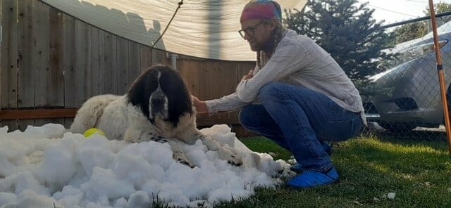 mężczyzna dotyka psa, który leży na kupce śniegu