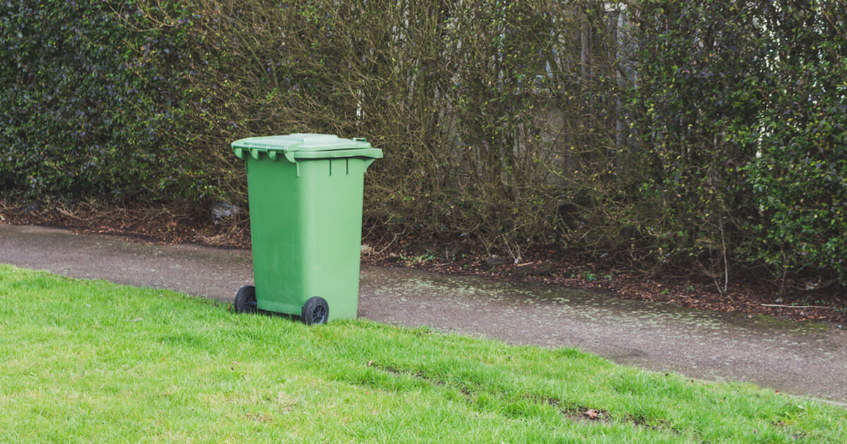 zielony śmietnik stoi na ścieżce przy trawniku