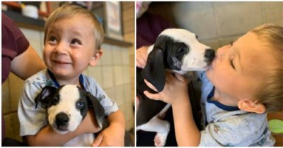 Chłopiec z rozszczepioną wargą adoptuje psa ze schroniska, który ma tę samą przypadłość