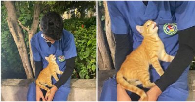 Bezdomny kot przychodzi, aby pocieszyć zmęczonego pielęgniarza podczas jego przerwy w pracy