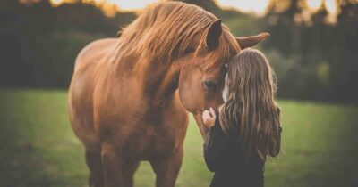 Weterynarz uwalnia konia zakutego w łańcuchy - otrzymuje urocze podziękowania, których nigdy nie zapomni