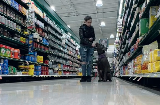 kobieta i pies stoją w sklepie między regałami 