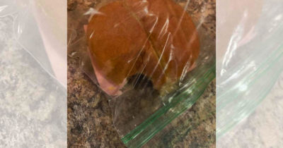 Minigrip-pussissa oleva leipä, josta on haukattu palanen