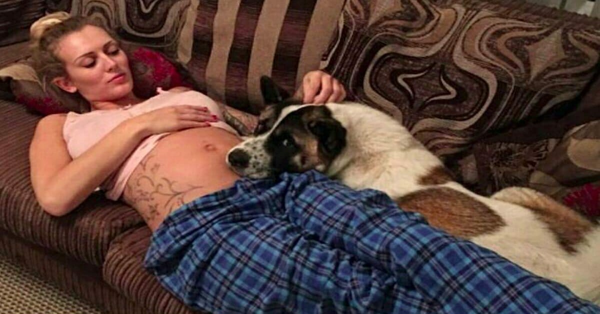 Junger, Zarter Promi Doggy Geknallt Junger, Zarter Promi Doggy Geknallt