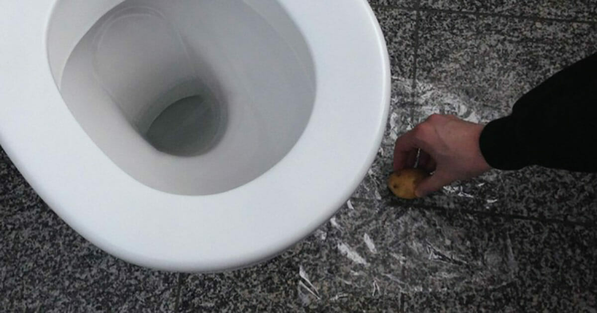 Slik blir du kvitt sølvkre i hjemmet 5 effektive tips