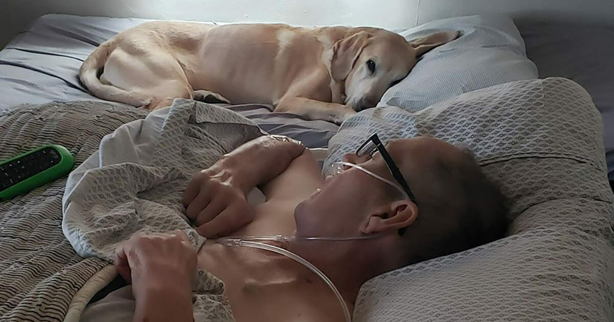 Hunden Nekter A Forlate Sin Doende Matfars Side Sovner Inn For Godt Med Bare En Times Mellomrom hunden nekter a forlate sin doende
