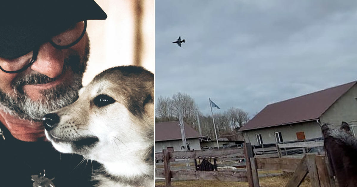 Un amico animale salva 400 animali in Ucraina