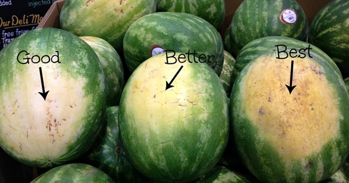 melon.jpg