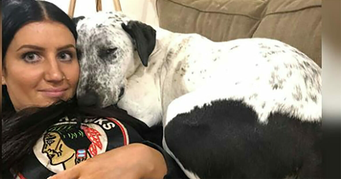 Daha Önce İki Kez Terkedilen Asık Suratlı Köpeğin Yüzü Yeni Sahibiyle