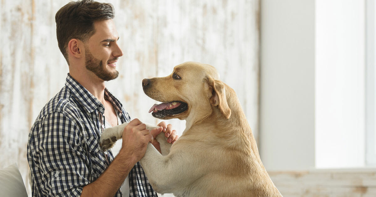 7 Anzeichen, dass dich dein Hund wirklich über alles lieb hat