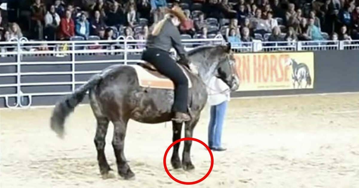 Frau Vergnügt Sich Mit Pferd