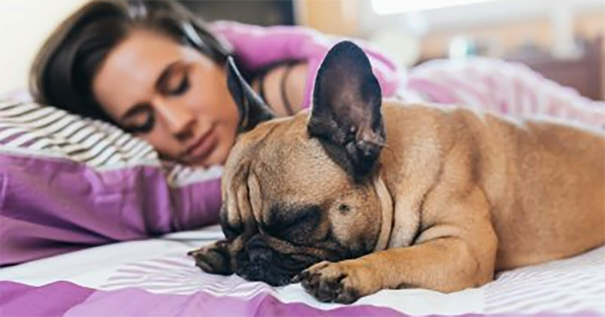 Laut Wissenschaftlern schlafen Frauen mit ihrem Hund im Bett besser