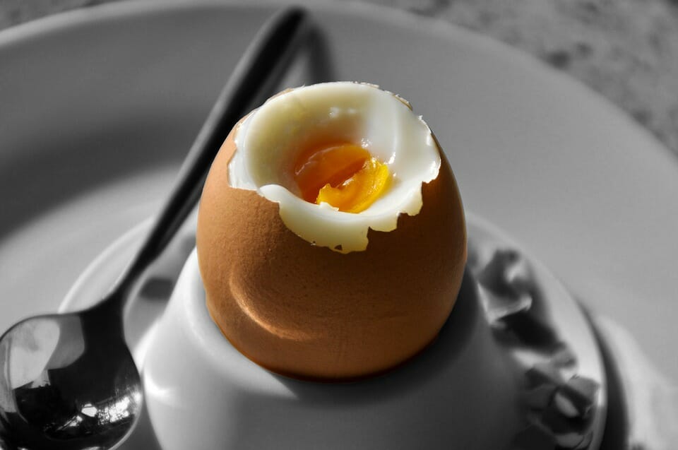 egg