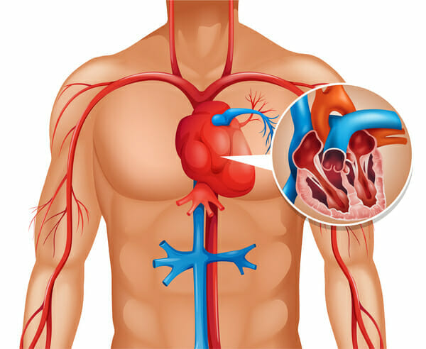 heart diseas