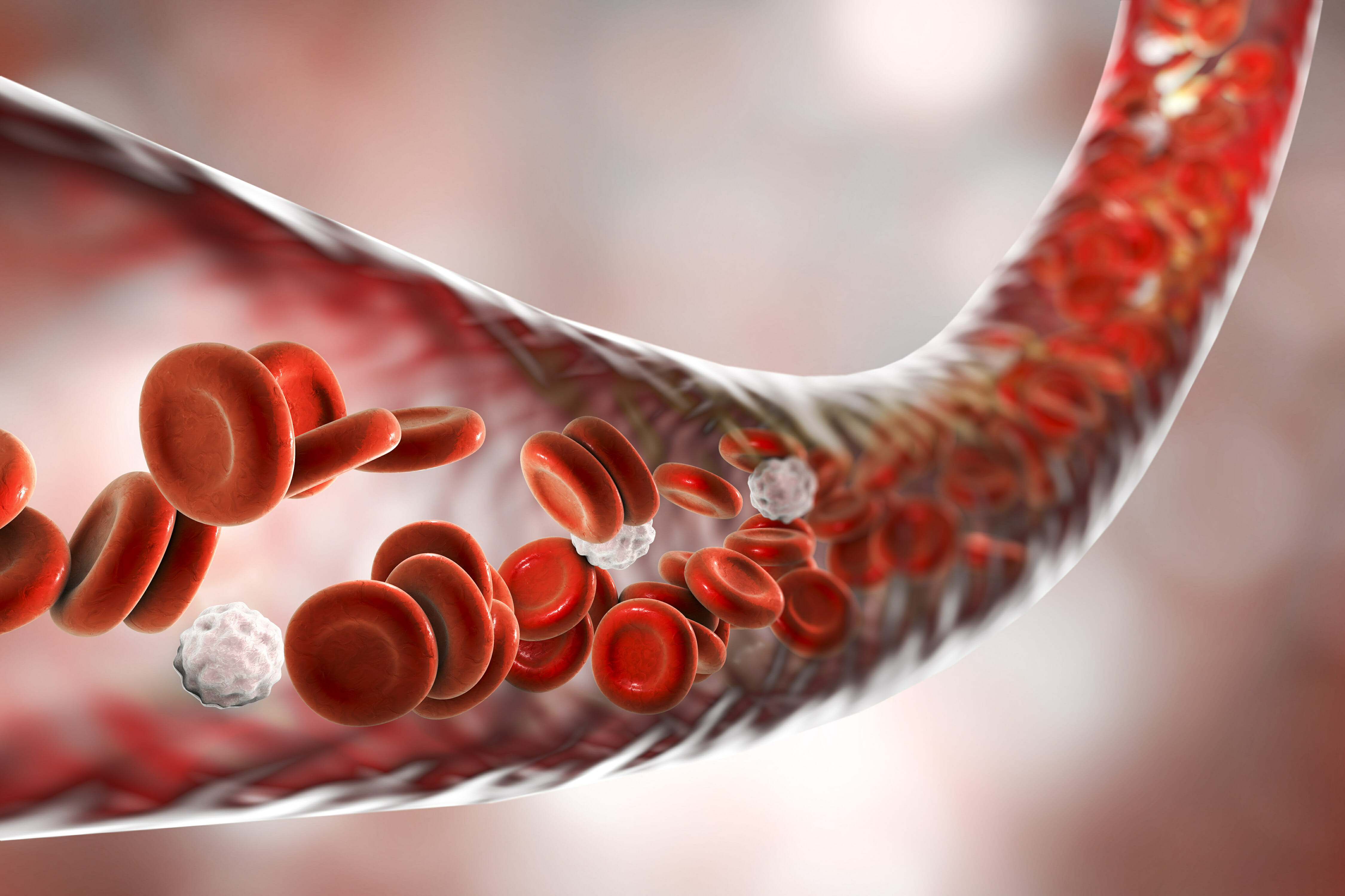 red blood cells