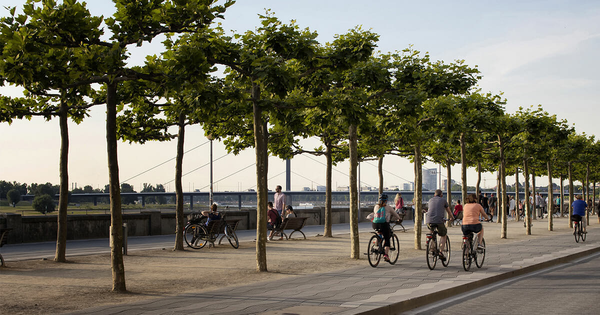 Bleibt's bei Düsseldorf? Politiker will Parkgebühr für