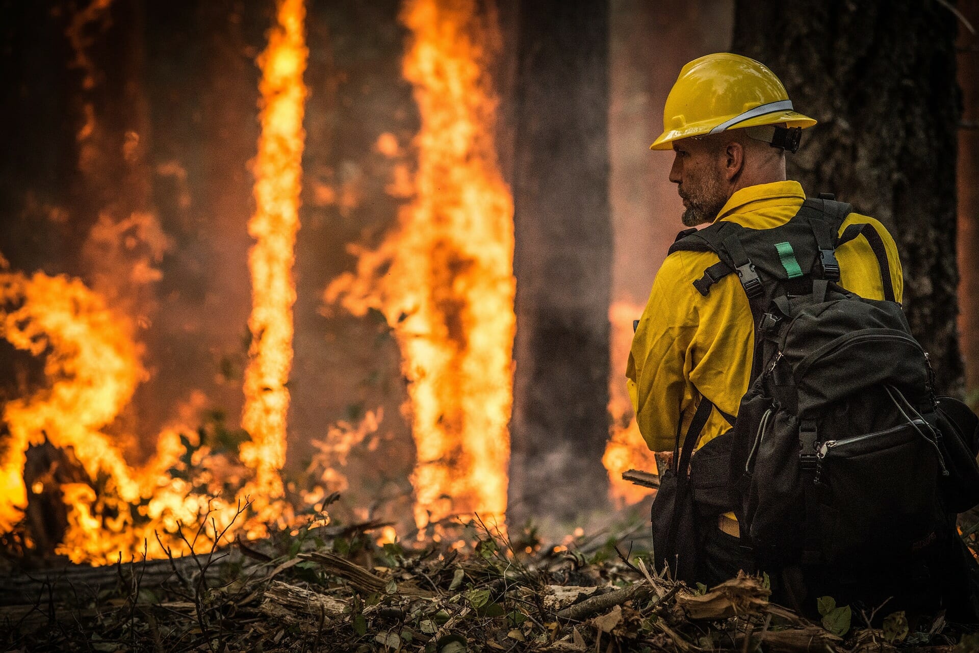 Feuerwehrmann, Brandstiftung, Waldbrand