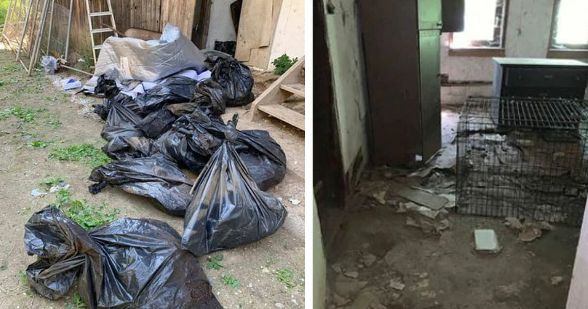 Tierschützer finden 35 tote Hunde in Müllsäcken auf Anwesen