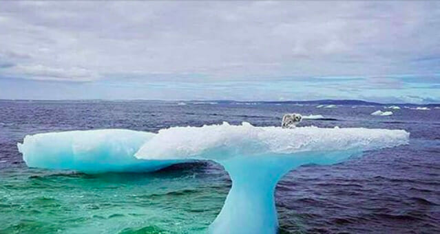 Natureza Leia Todas As Notícias Recentes Sobre Natureza Em Newsner