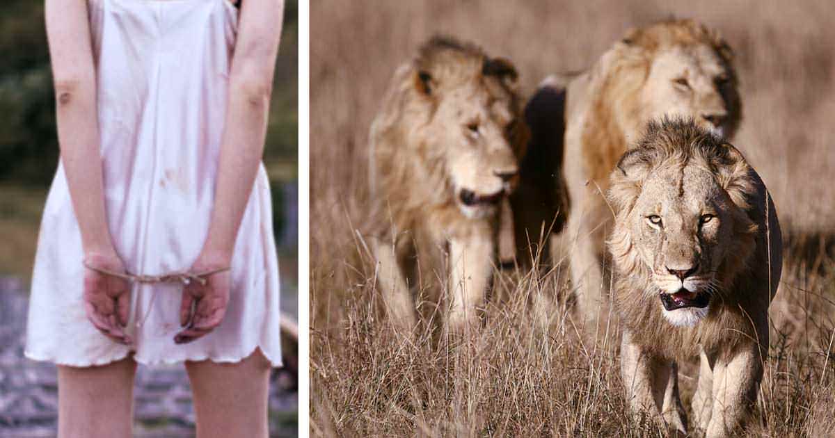 12enne rapita e picchiata da uomini - poi i leoni la circondano e fanno