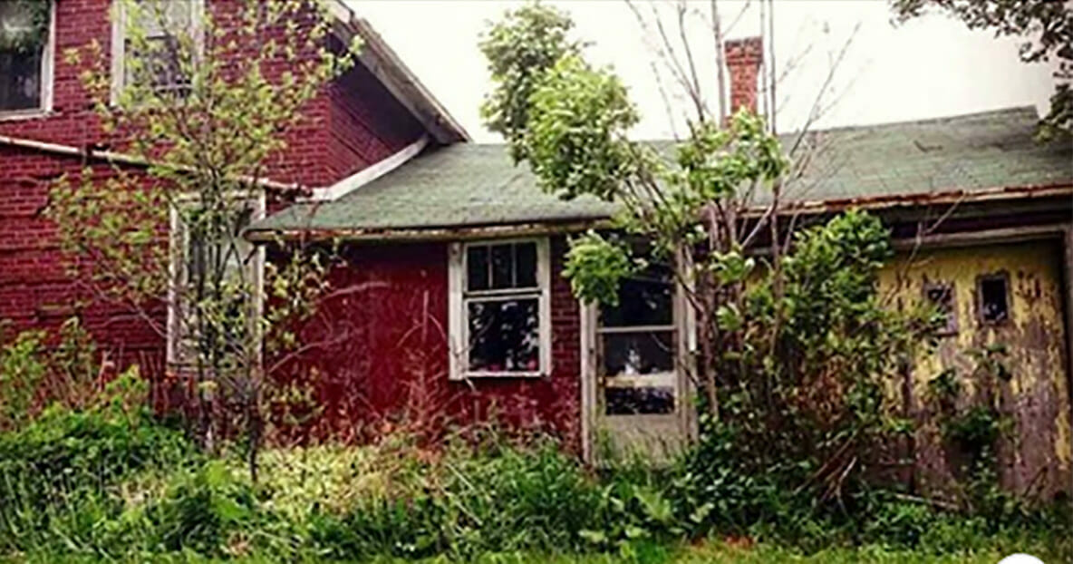 Fotografa Trova Casa Abbandonata Nel Bosco Apre La Porta E Rimane Scioccata