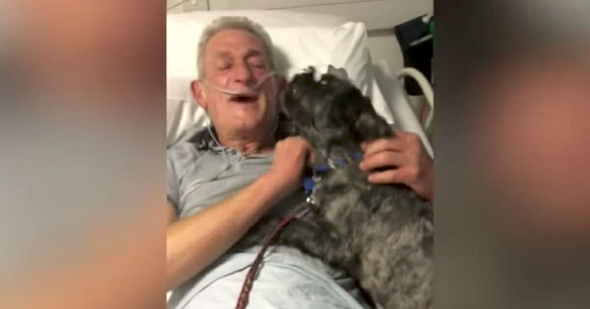 Uomo col cancro si sveglia dal coma – è felicissimo quando vede il suo cane