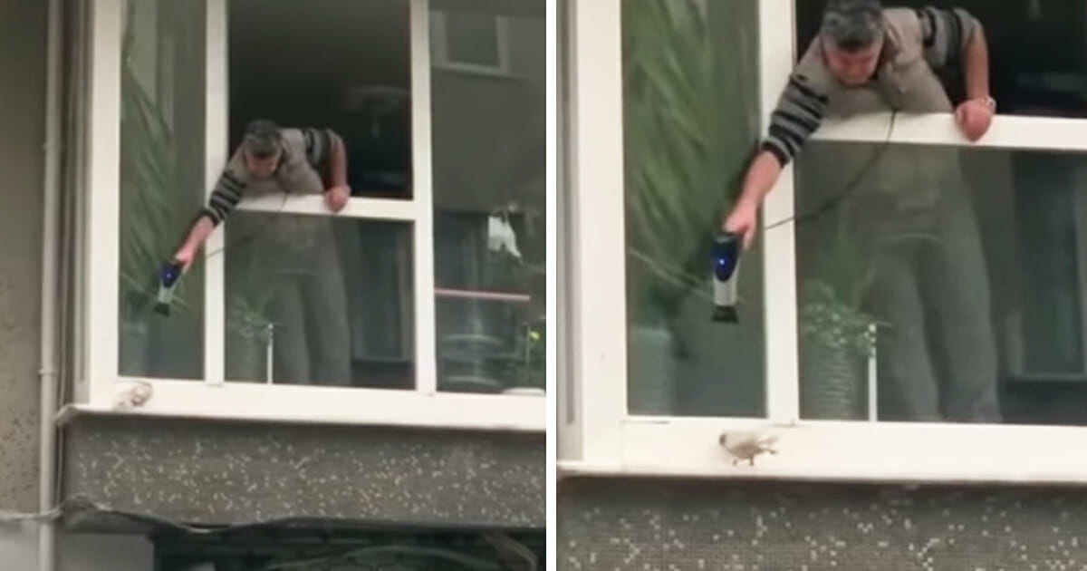 Quando Un Uomo Si Prende Una Sbandata