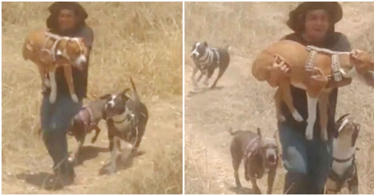 Papà corre col cane disabile in braccio così che possa continuare a