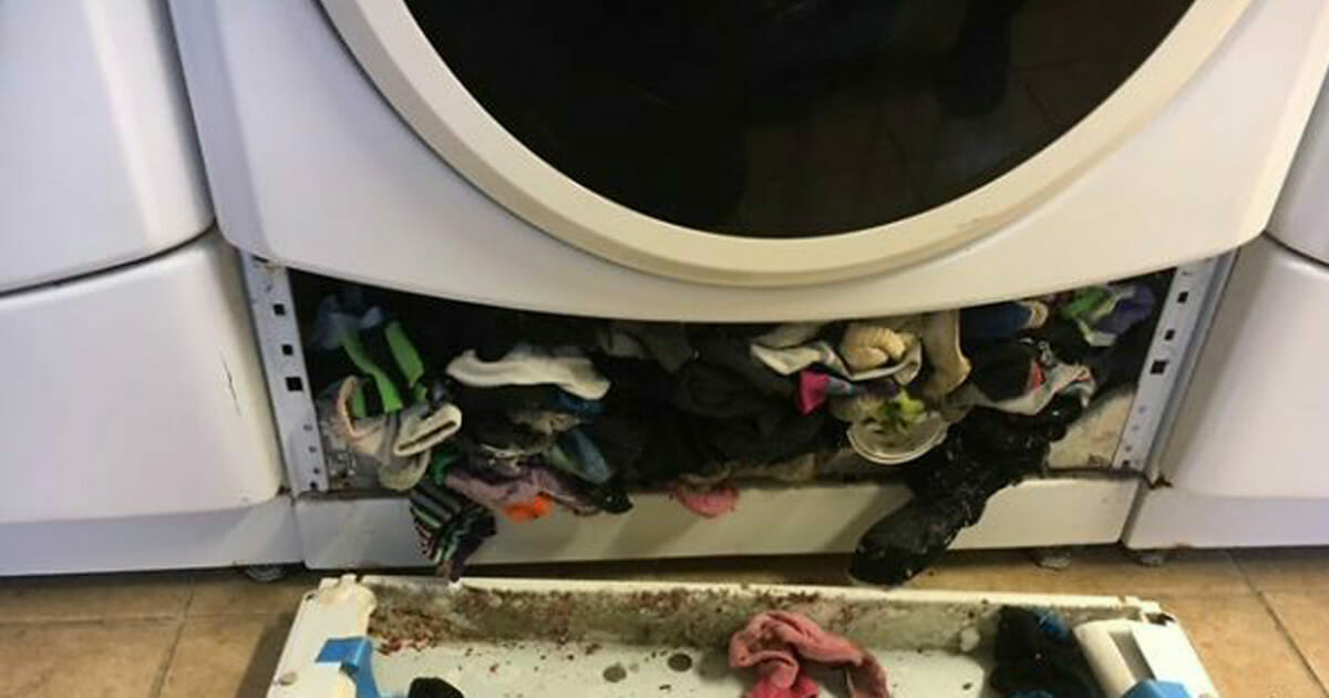 Nationaal In beweging grind Moeder belt loodgieter nadat wasmachine breekt - maar zie nu wat hij  eronder ontdekt