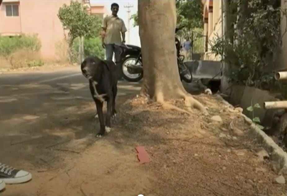 Ammu