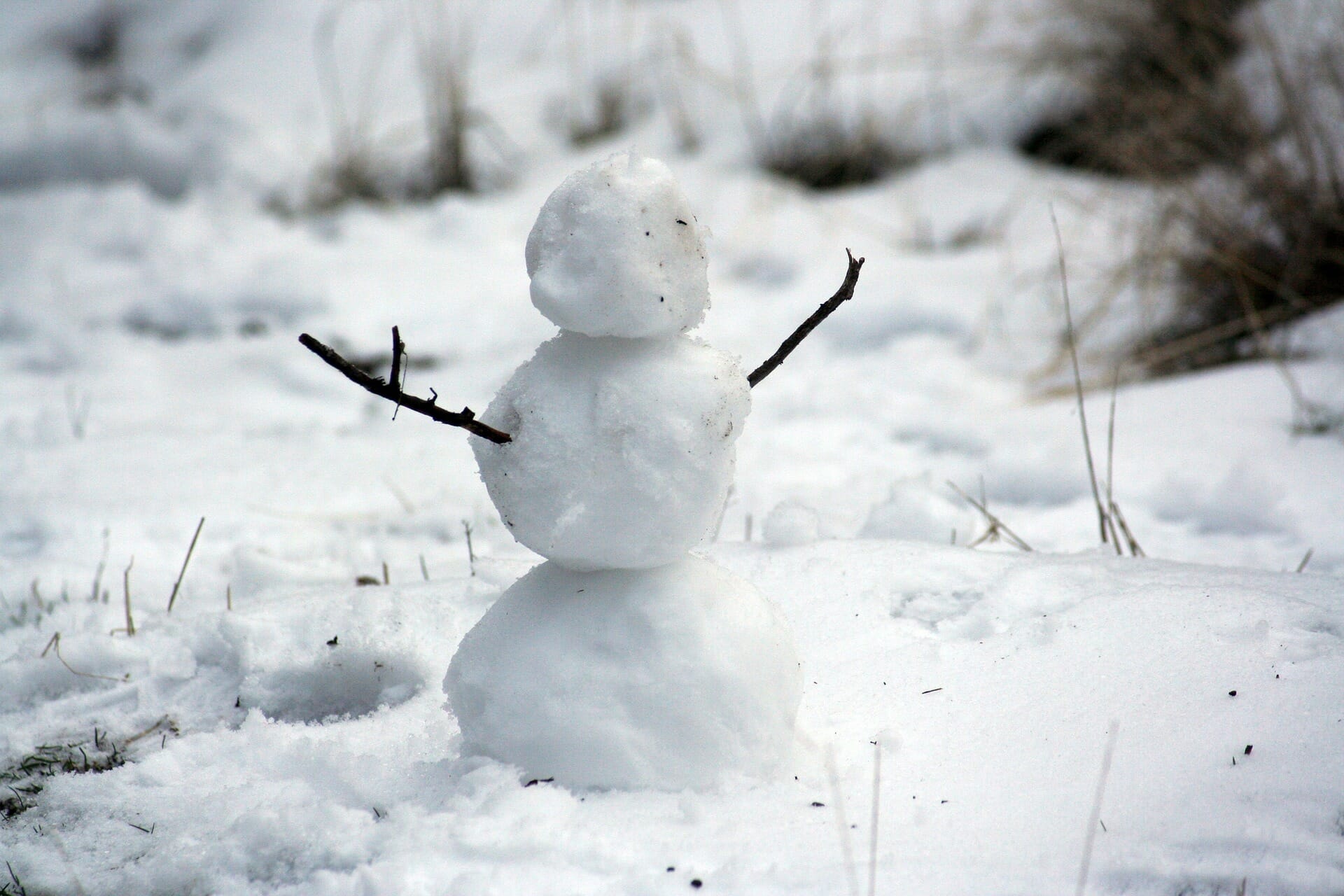 sneeuwpop