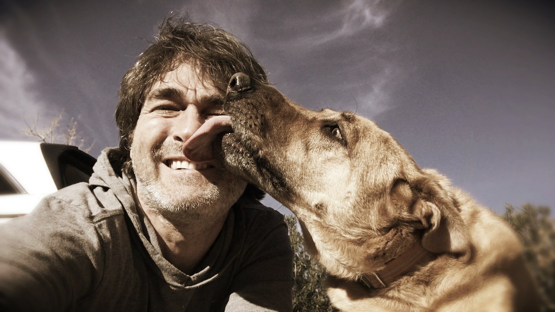 hond