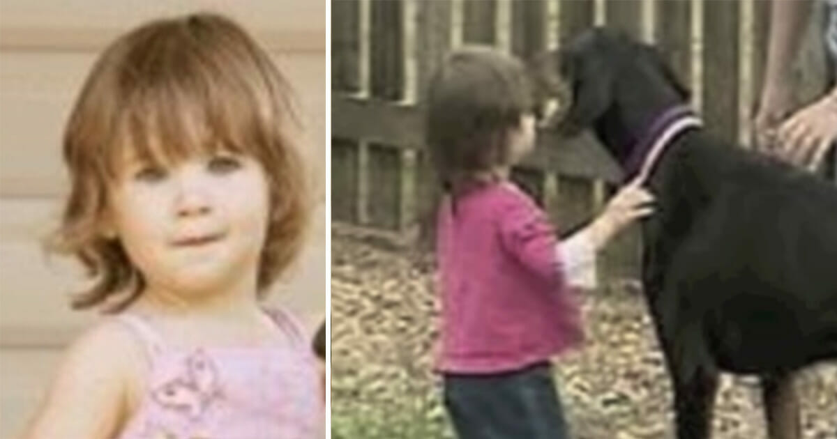 Moeder Adopteert Verwaarloosde Hond Wanneer Hij Bijt In Baby S Luier Schreeuwt Ze Het Uit