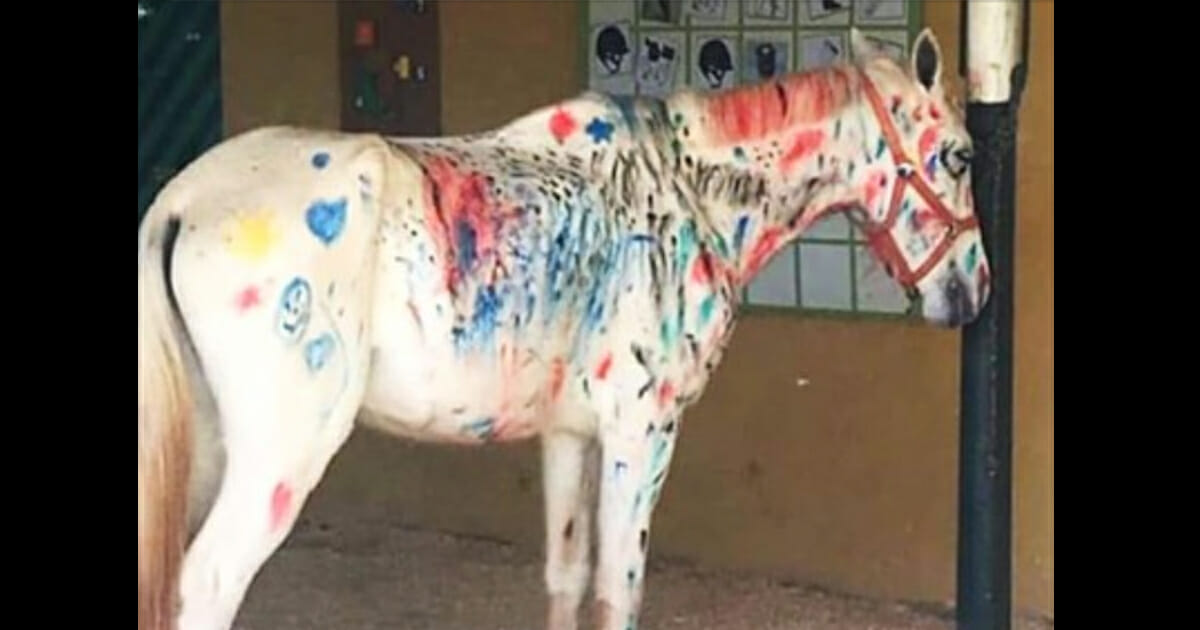 Fonkelnieuw Leraars vragen kinderen om op paard te schilderen in plaats van PA-92
