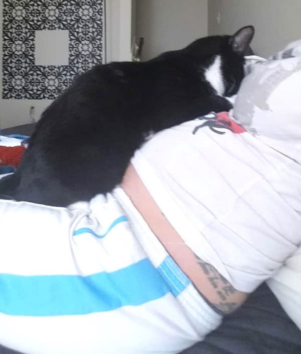 Le Chat Refuse De Quitter Le Ventre De Sa Maitresse Enceinte Maintenant Regardez Sa Reaction Quand Le Bebe Est Ne