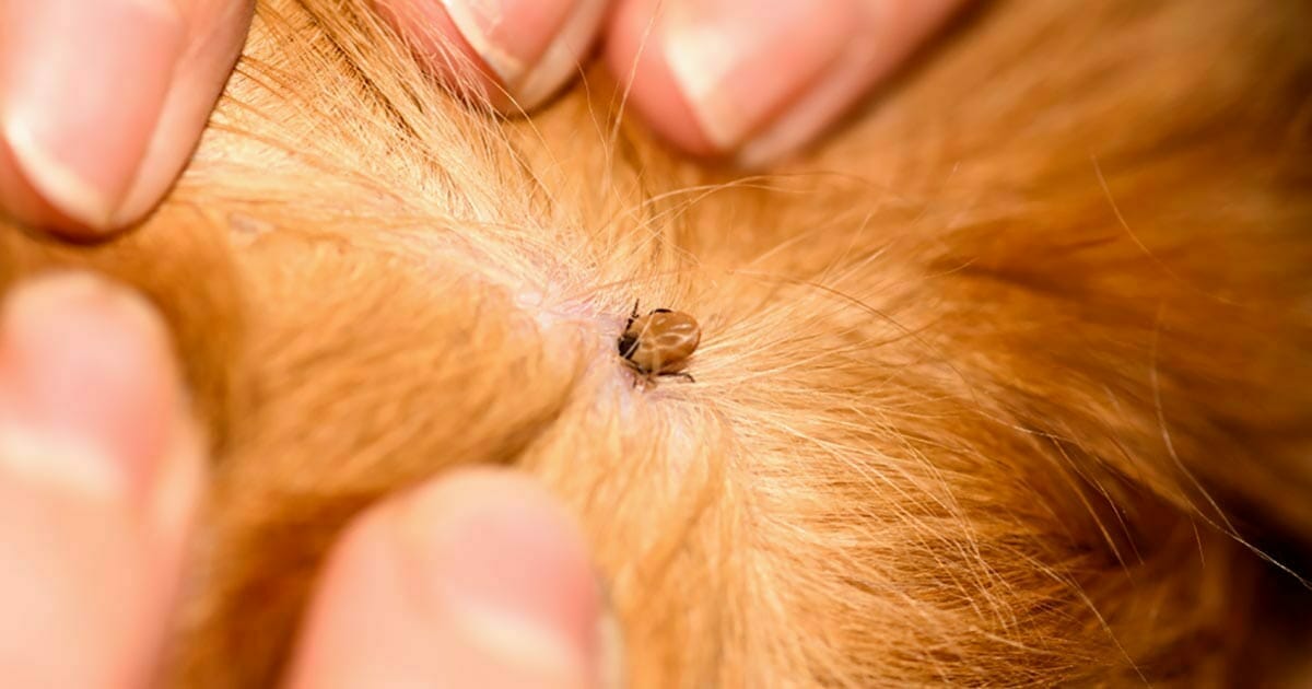 Une simple astuce que tout le monde devrait connaitre : faites ceci si ...