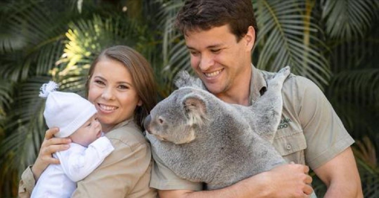 La Petite Fille De Bindi Irwin Rencontre Un Koala Pour La Premiere Fois