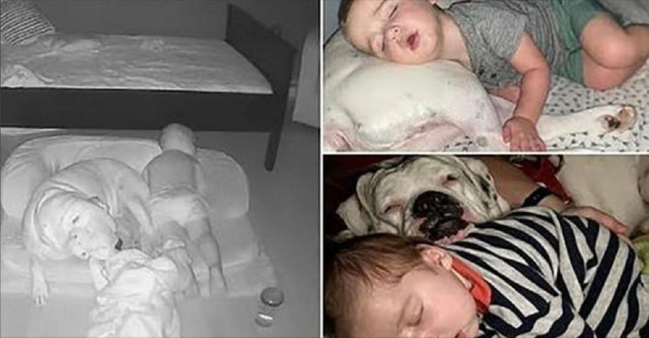 Une Maman Partage Des Photos De Son Bebe Moche Et Fait Rire Les Gens On Dirait Mon Vieil Oncle
