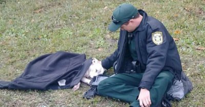 police reconforte chien